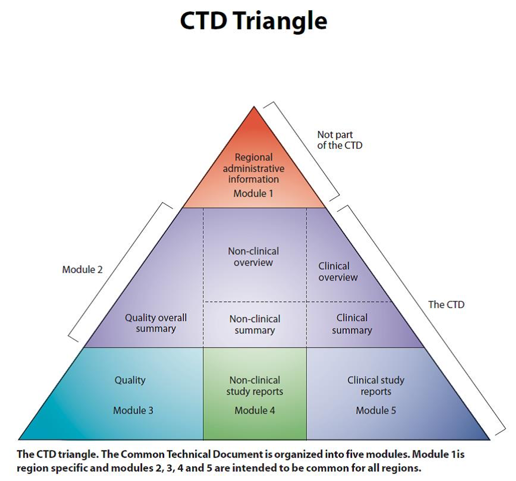 규제 기관에 제출하는 디지털 데이터 양식인 CTD Triangle