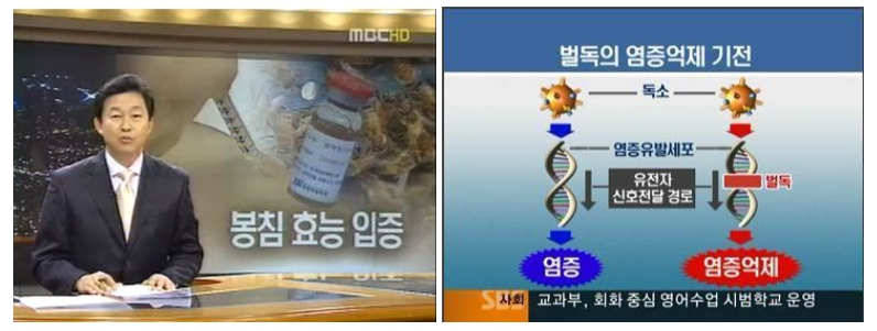 출처 MBC , SBS뉴스