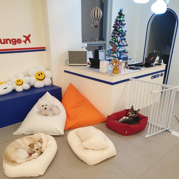 [경기/김포] 플라이투더뭉