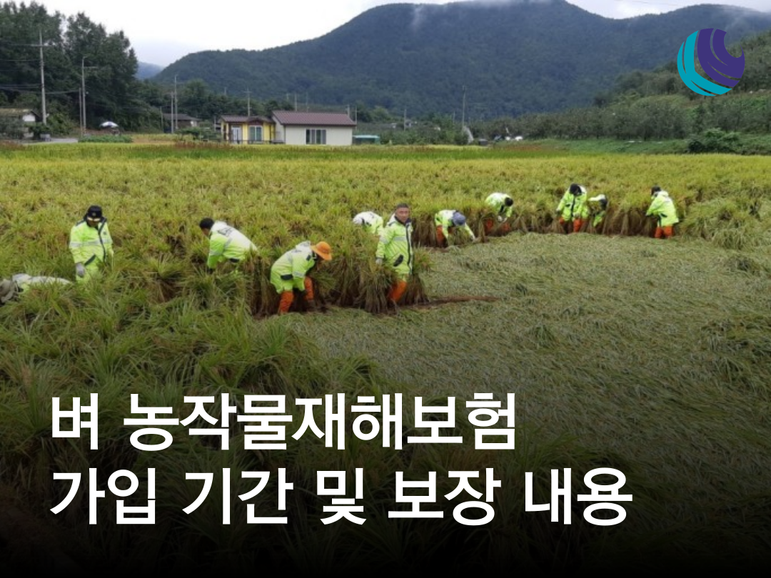 2023년 벼 농작물재해보험 소개 : 농업회사법인 권농종묘(주)