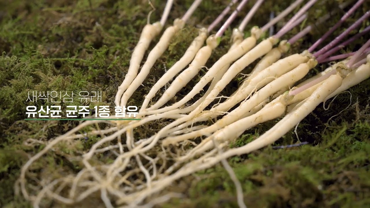 랩커버리_한방에삼
