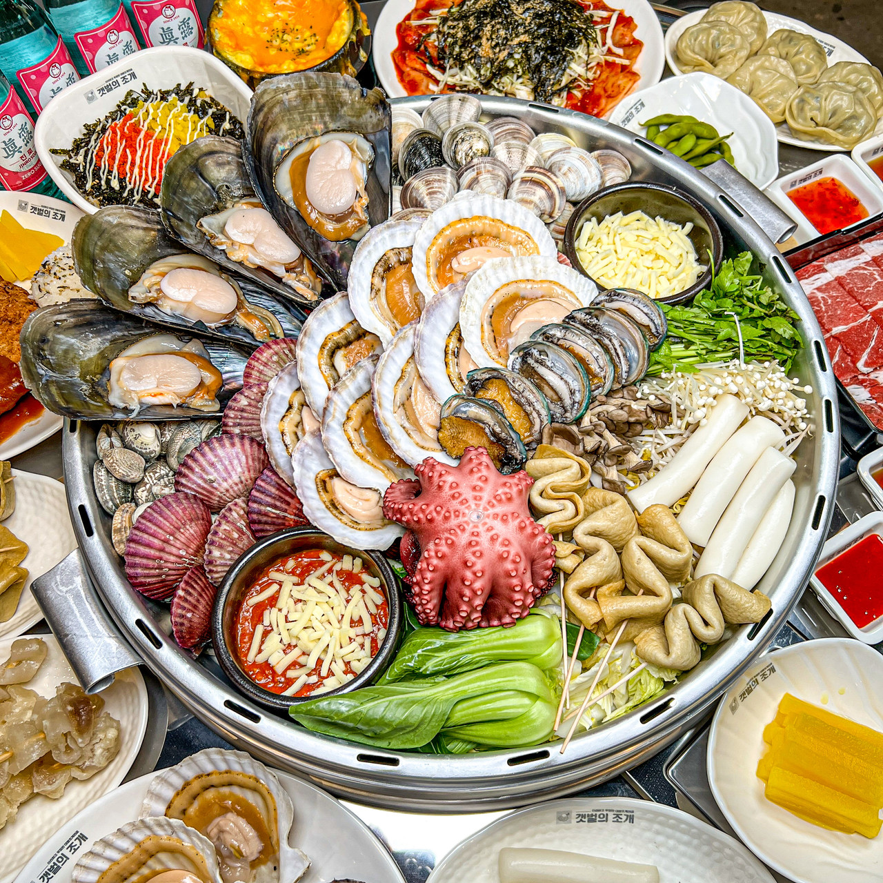 갯벌의조개