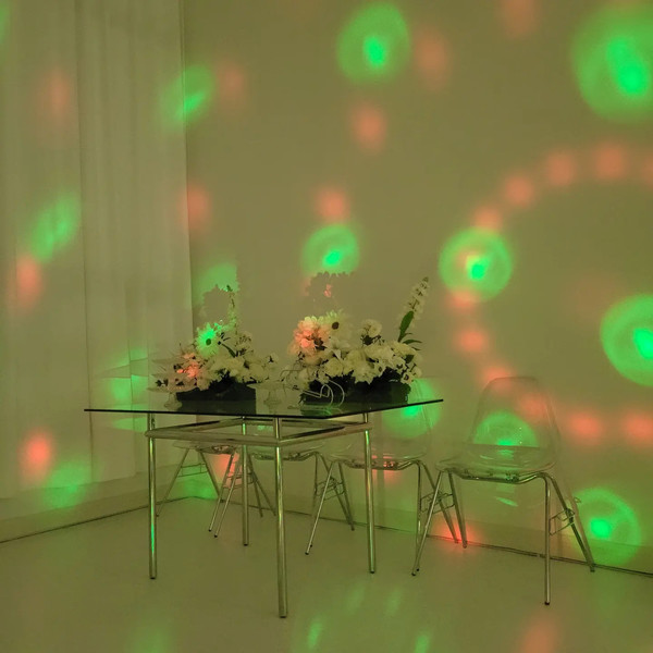 [경기/시흥] 하데스플루톤