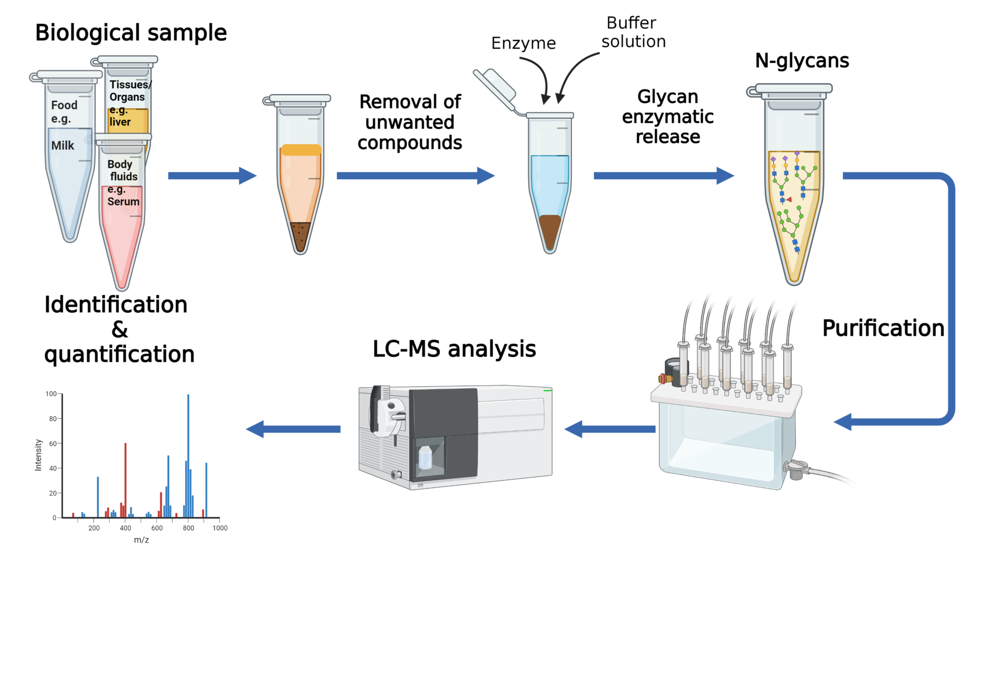 N-glycans analysis workflow at NFML