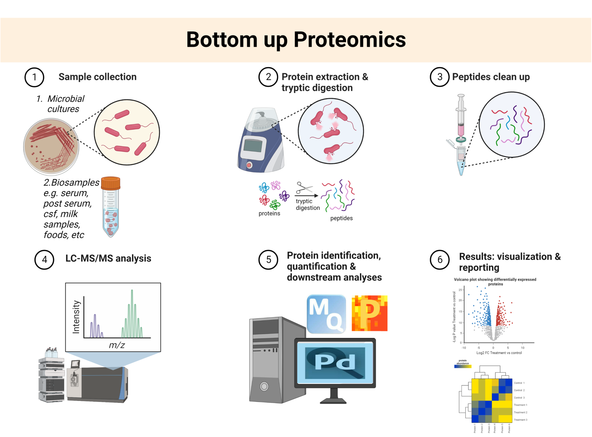 Illustration of the general workflow for proteomics research.