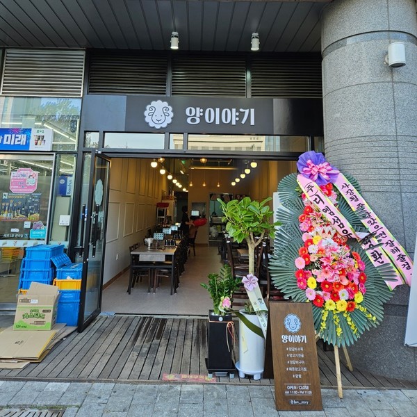 [서울/송파구] 양이야기