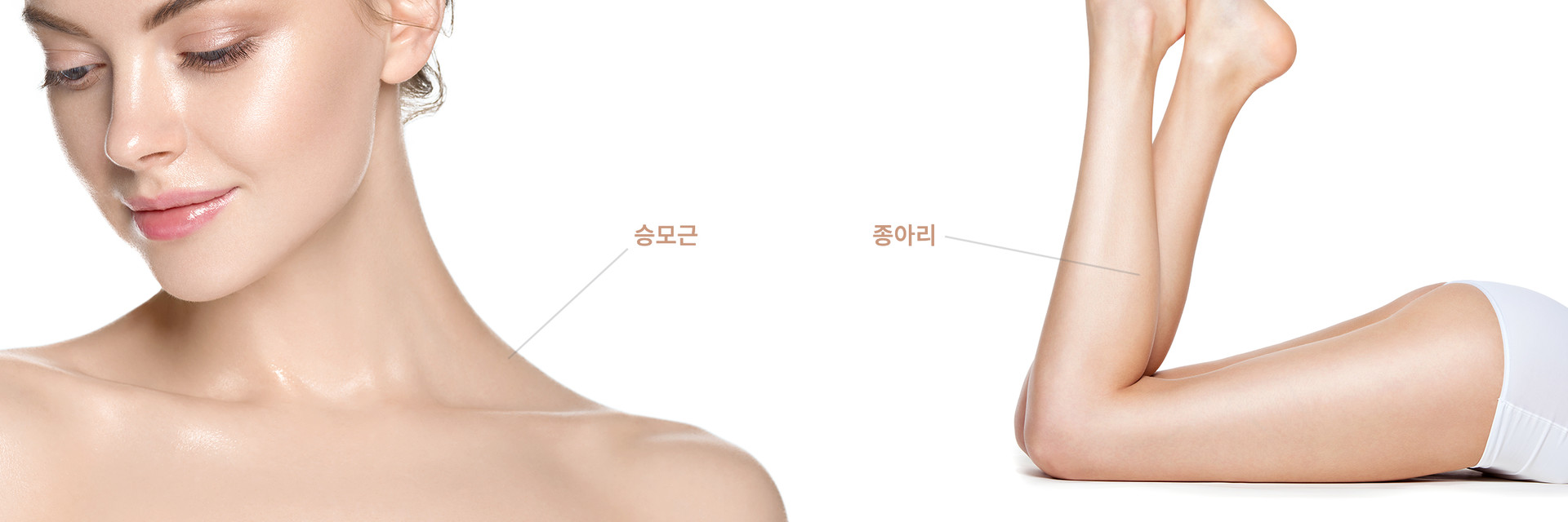 <span style="font-size: 22px; color: rgb(43, 52, 59);"><strong>바디</strong></span>