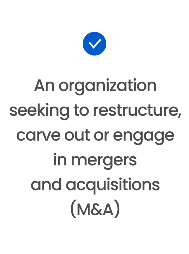 An organization seeking to restructure, carve out or engage in mergers and acquisitions (M&A)