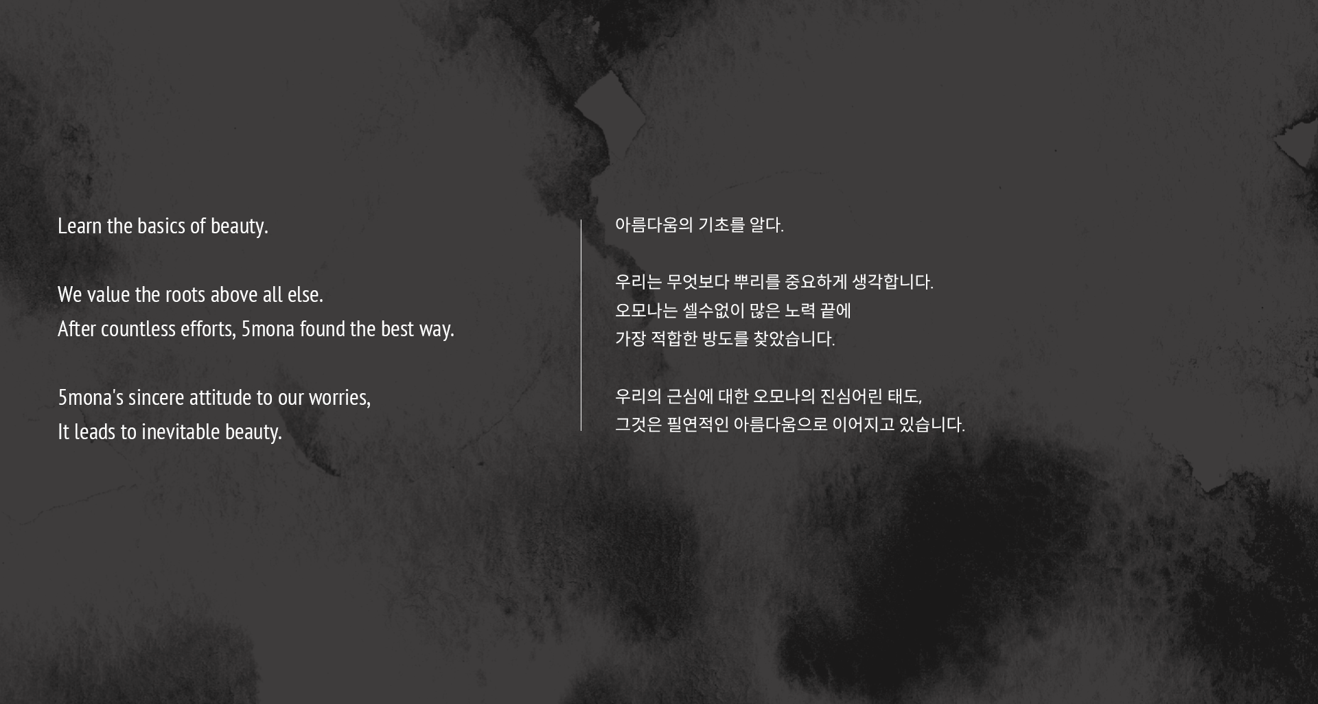 브랜드 컨셉 이미지