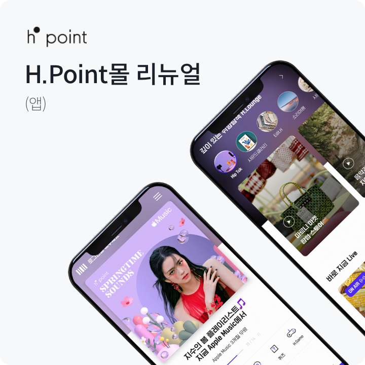 H.Point몰 리뉴얼 공개 작업 사례