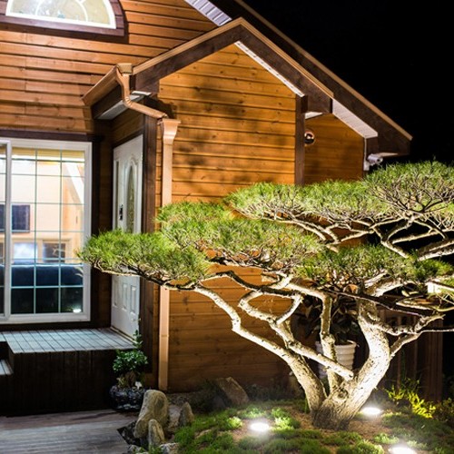 예약 상품 이미지