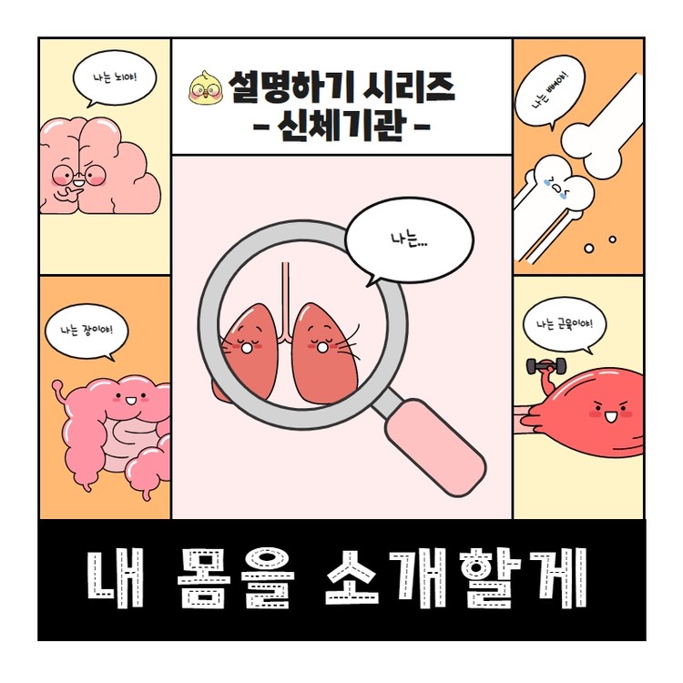 내 몸을 소개할게_신체기관 / 설명하기 : 삐콩에듀
