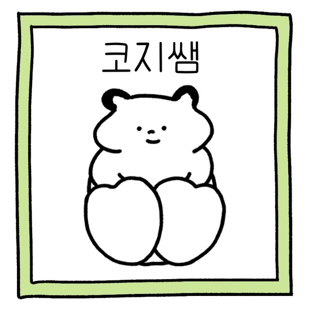 코지쌤