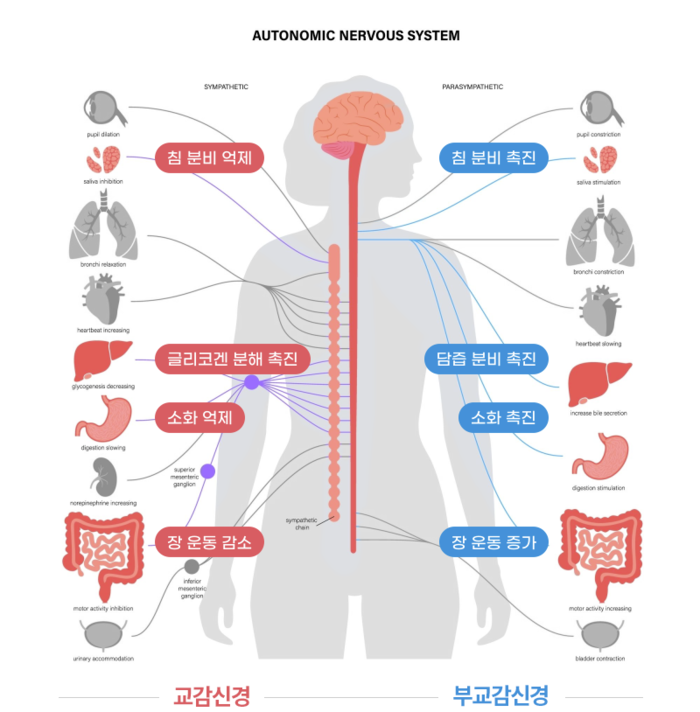 말초신경계 질환의 다양한 종류와 증상 9