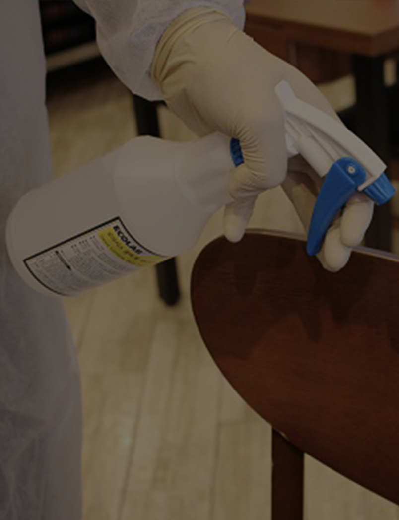 <h5><strong>살균/세척 솔루션</strong></h5><br><br>글로벌 기술력을 바탕으로<br>사업장의 청소 컨설팅 및<br>살균/세척 케미컬 사용법 교육