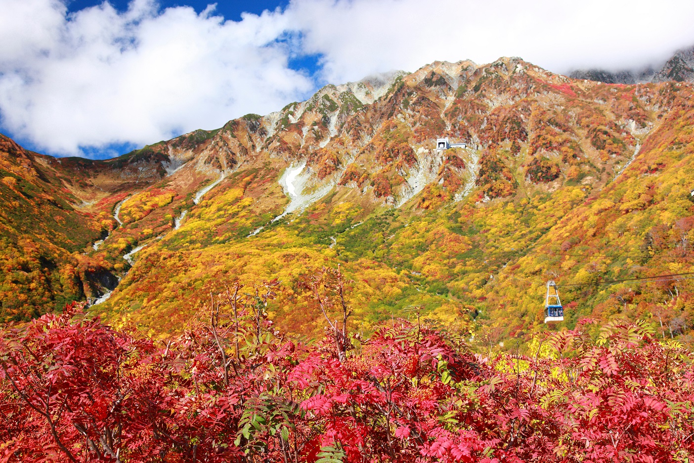 알펜루트 가을 단풍 쿠로베협곡 가을여행 일본 고품격여행
