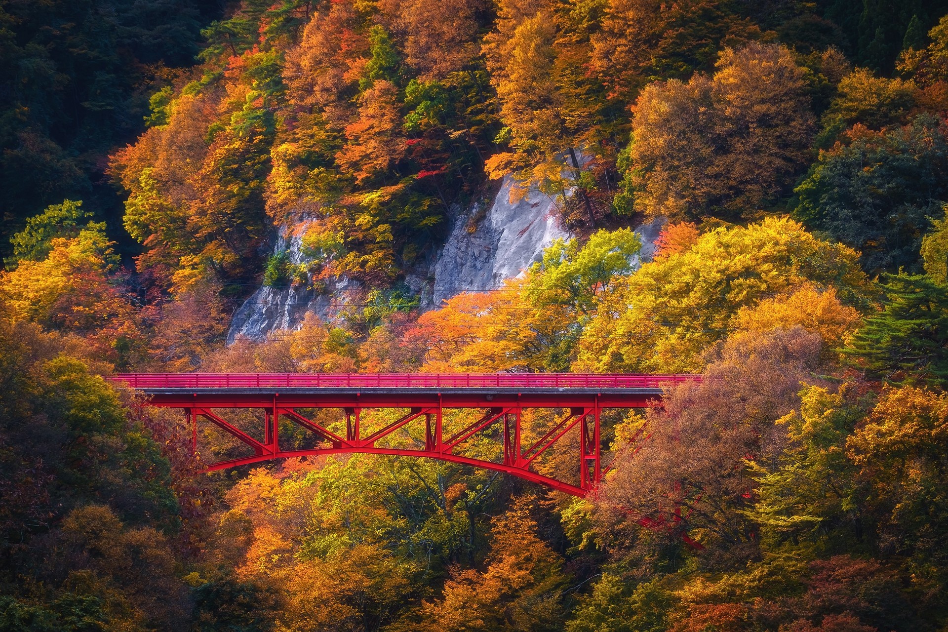 알펜루트 가을 단풍 쿠로베협곡 가을여행 일본 고품격여행