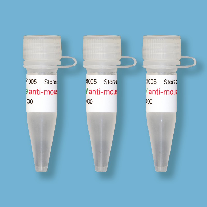 시너진 제품 정보 Kindle Biosciences Digital Antimouse IgGHRP