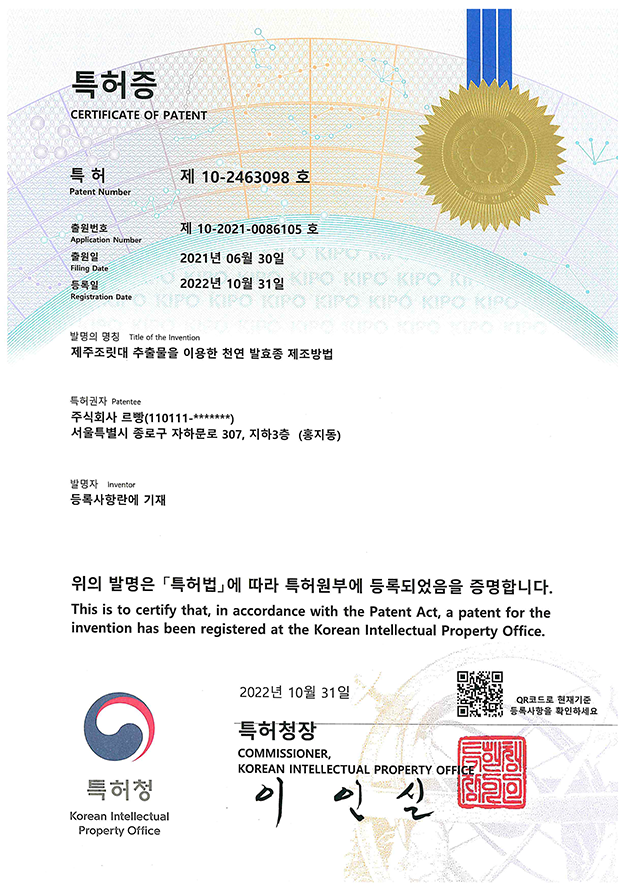 제주조릿대 추출물을 이용한  천연 발효종 제조방법