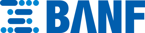 BANF: real-time truck tire smart profile