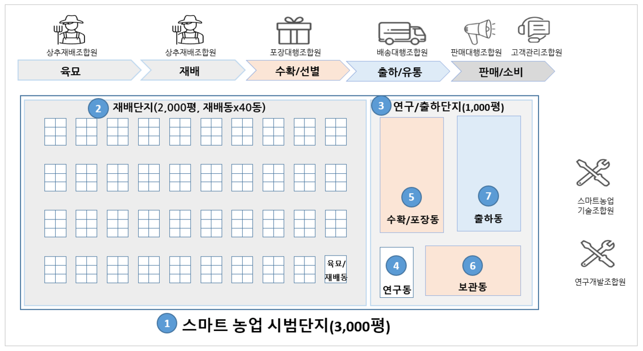 3단계 계획