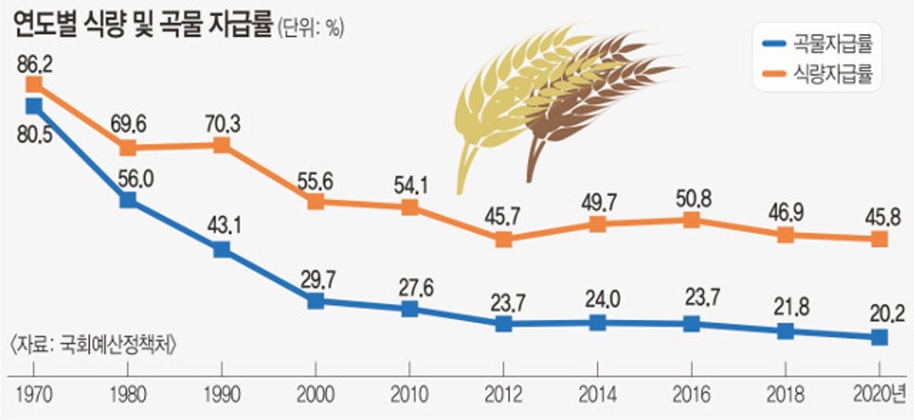 세계식량위기