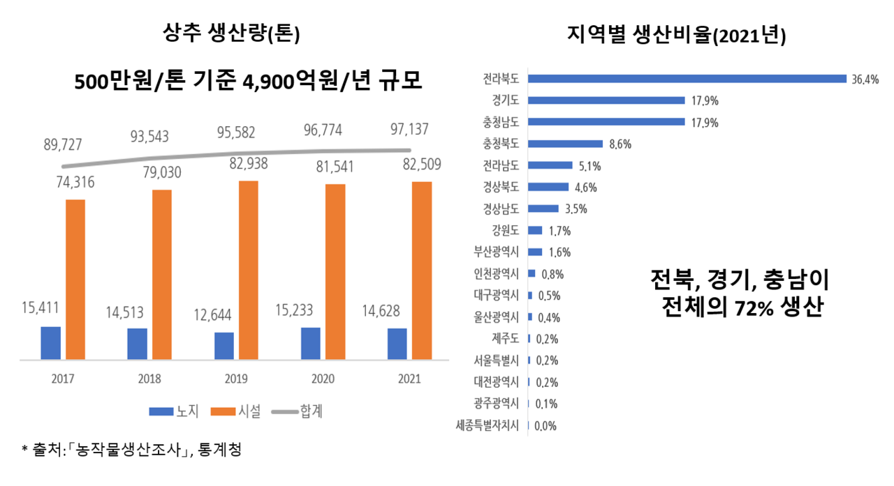 상추 시장규모