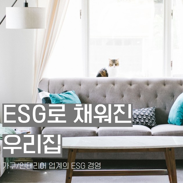 [가구/인테리어 업계의 ESG 경영] ESG로 채워진 우리 집 : RE: THE NEW | Weekly