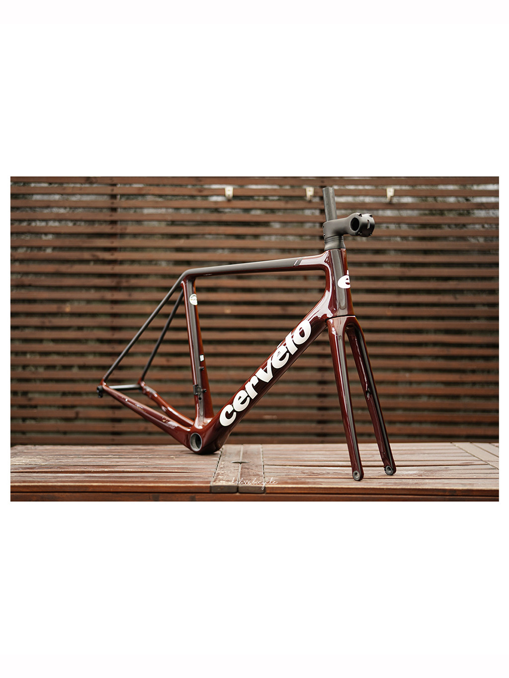 Cervelo R5 FrameSet Oxblood 써벨로 R5 프레임셋 옥스블러드