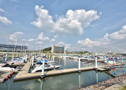 Ara Marina