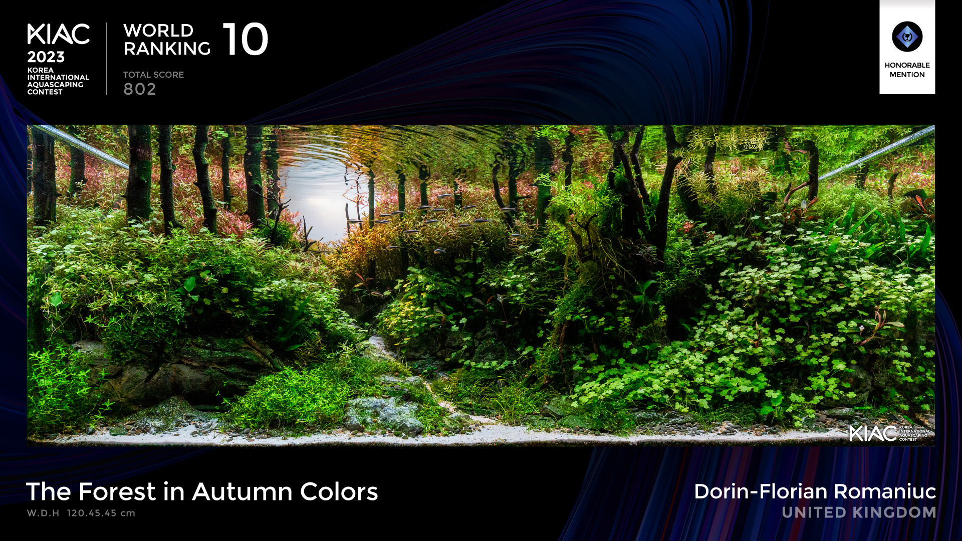 World Ranking 10. The Forest in Autumn Colors - Dorin-Florian Romaniuc [United Kingdom]