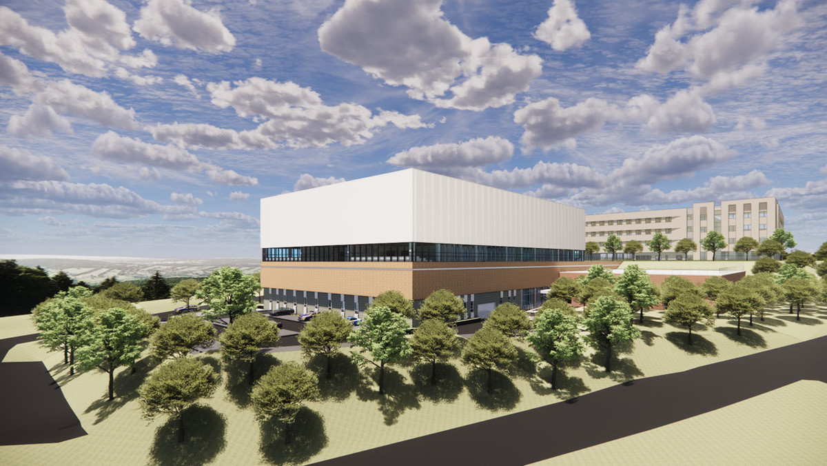 Golden Panda Casino Interface