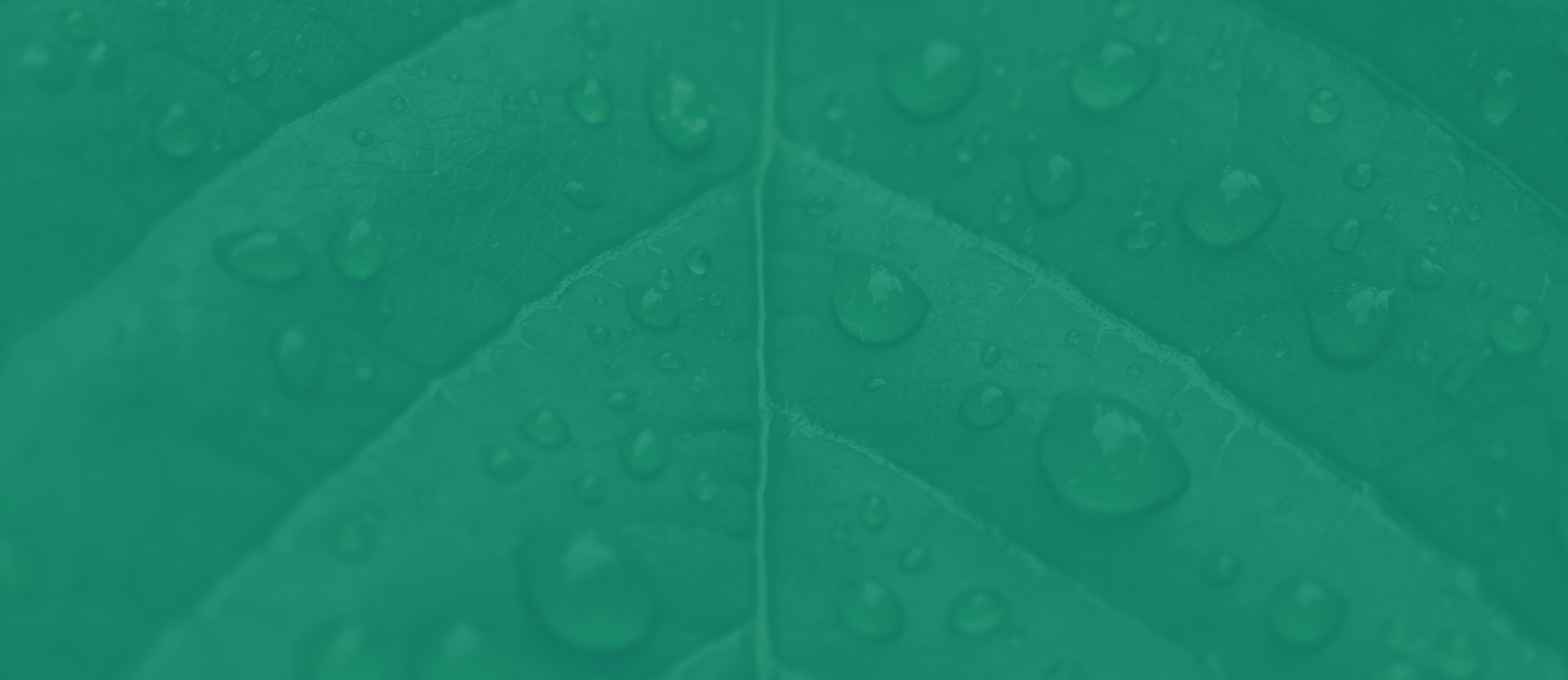mobile background