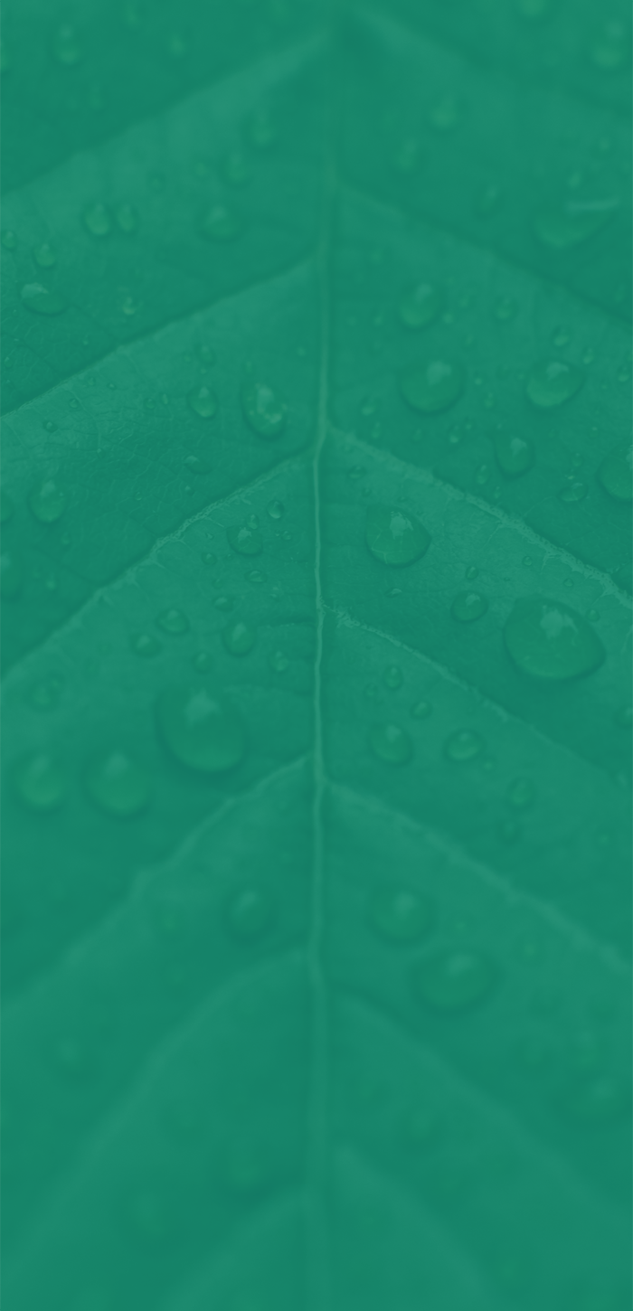mobile background