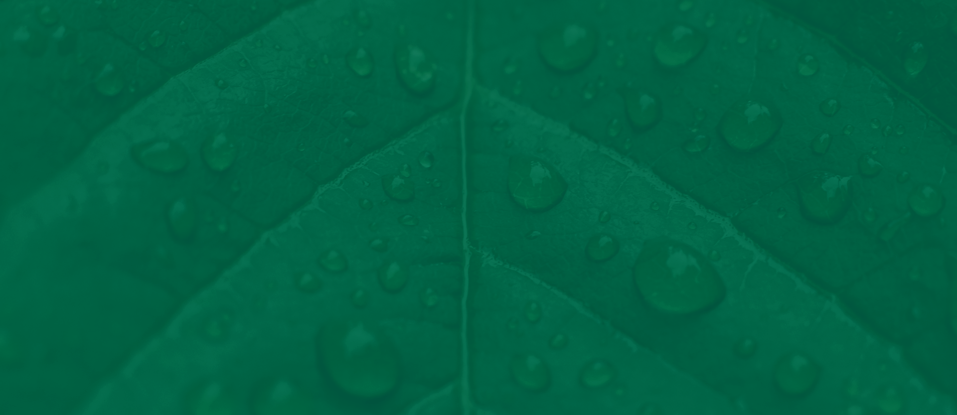 mobile background