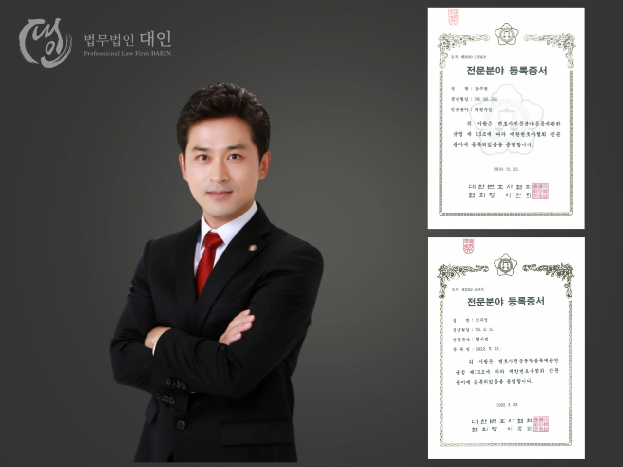 법무법인 대인 강주영 변호사, 수석변호사