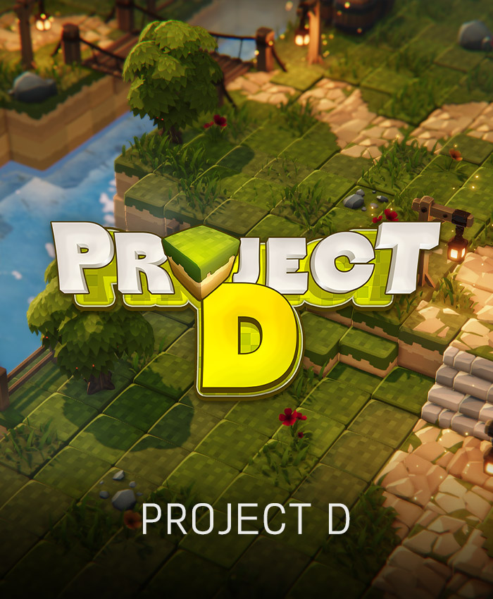 Project D