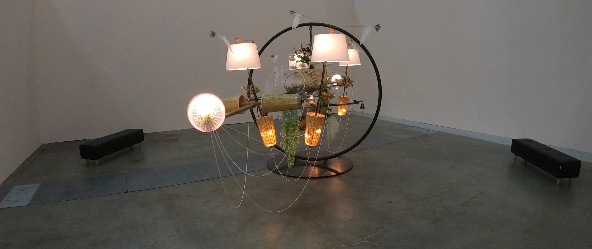 오늘부터 우리집에 식물이 살아요