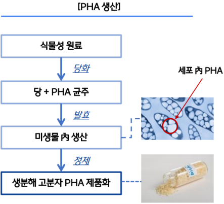 단량체의 종류