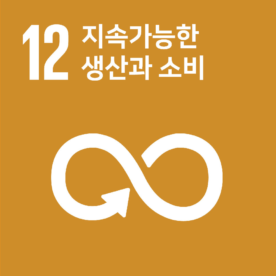 UN SDGs12