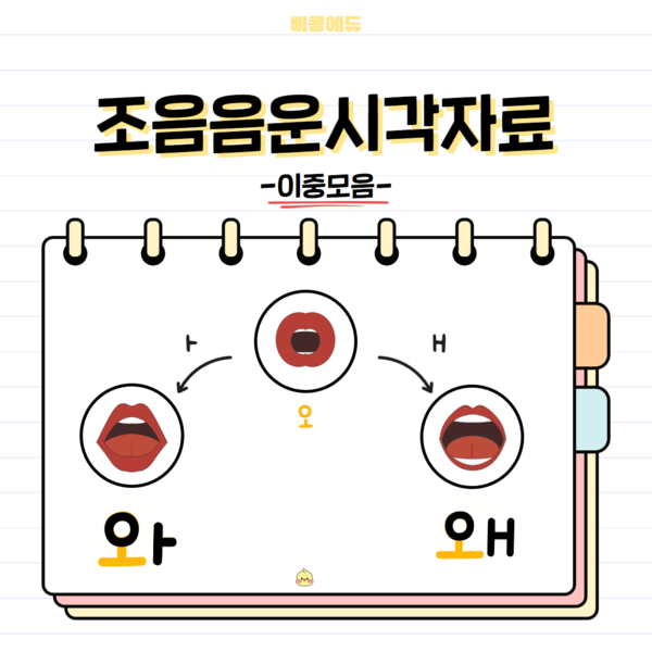 삐콩에듀