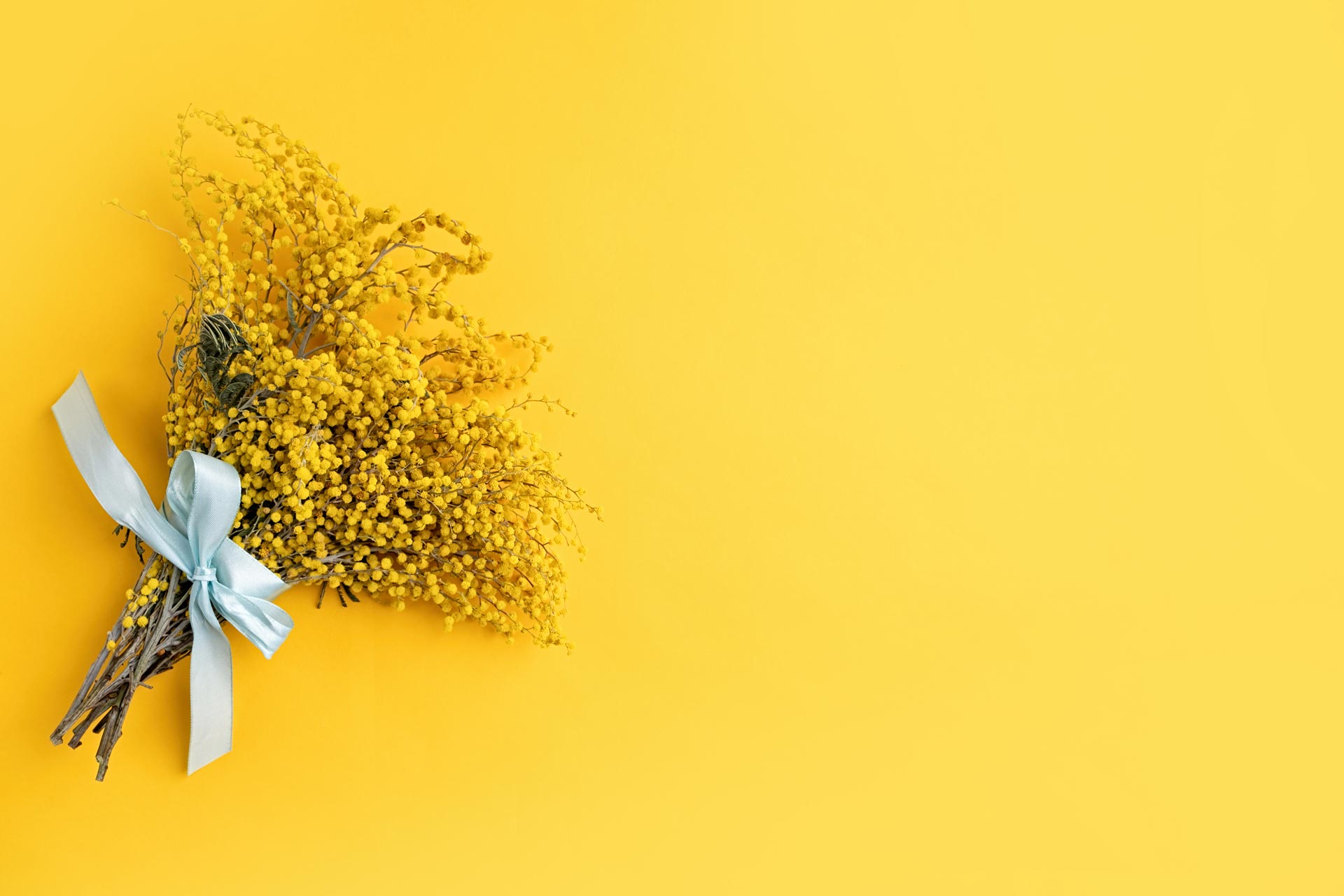 mobile background