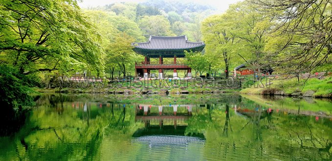 한국관광공사(갤러리-김용대)