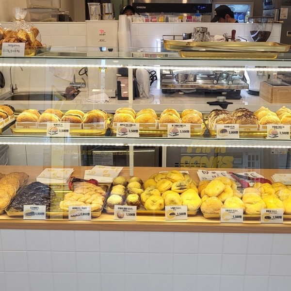 [서울/은평구] 파파도나스