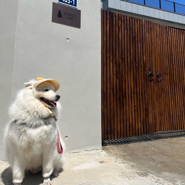 [경남/김해] 시밀레스테이