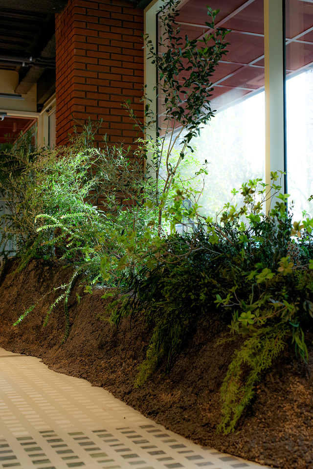 <span style="text-align: left; margin-left: 10px; !important;"><p>INFOMATION cafe <p>The flexible lines of the planters are composed of real plants, preserved and fabricated trees, creating a small forest indoors.  </span>