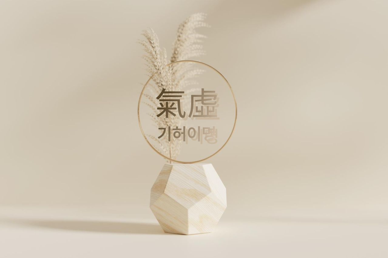 <p style="margin-left:10px;"></p><h5 style="margin-left:10px"> 氣虛</h5>
