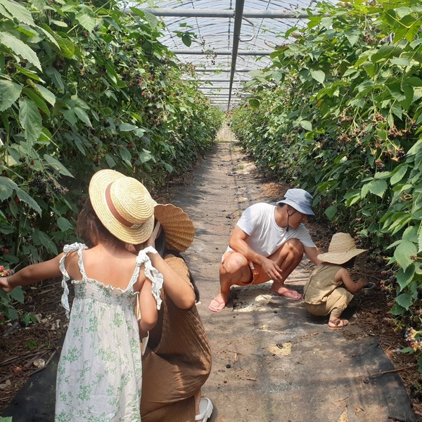 [경남/남해] 섬농부의마르쉐