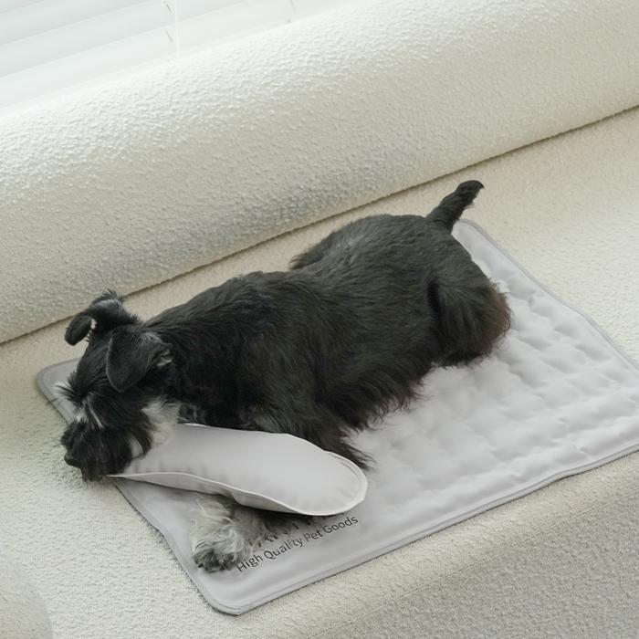 Dog ate cooling mat best sale