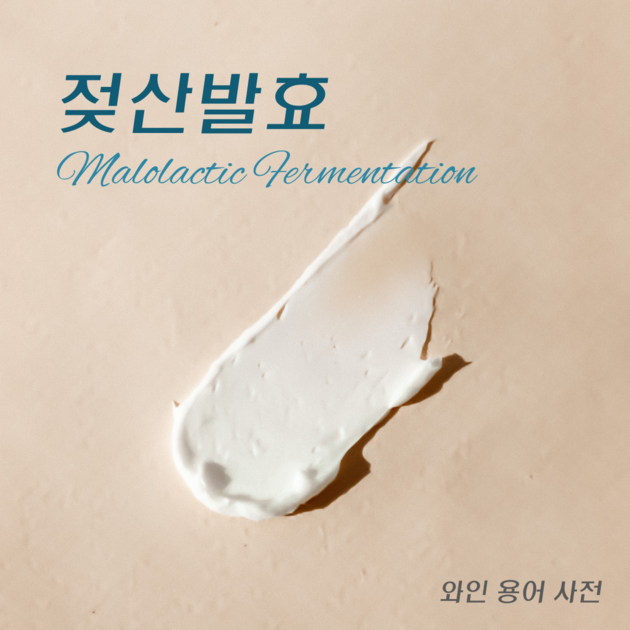 젖산발효(Malolactic Fermentation, MLF) - 와인 용어 사전 : DRINKS